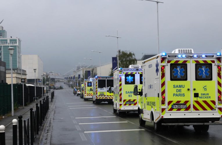 French evacuee from hantavirus-hit ship tests positive, health minister says