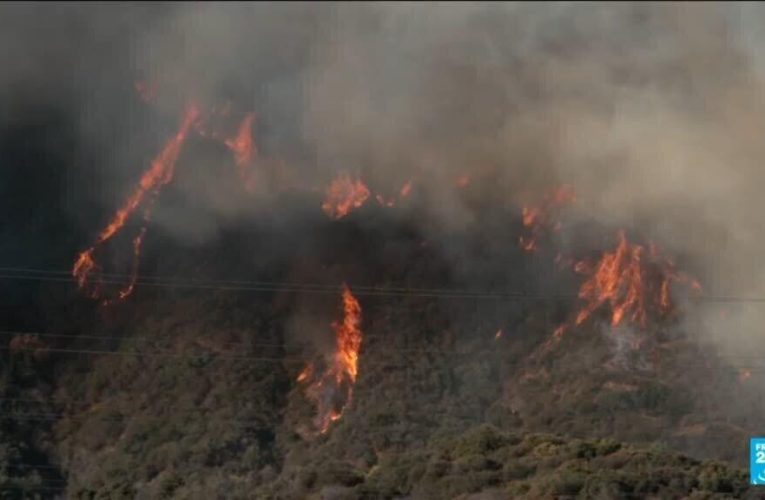 United States: Los Angeles fire suspect had grudge against wealthy