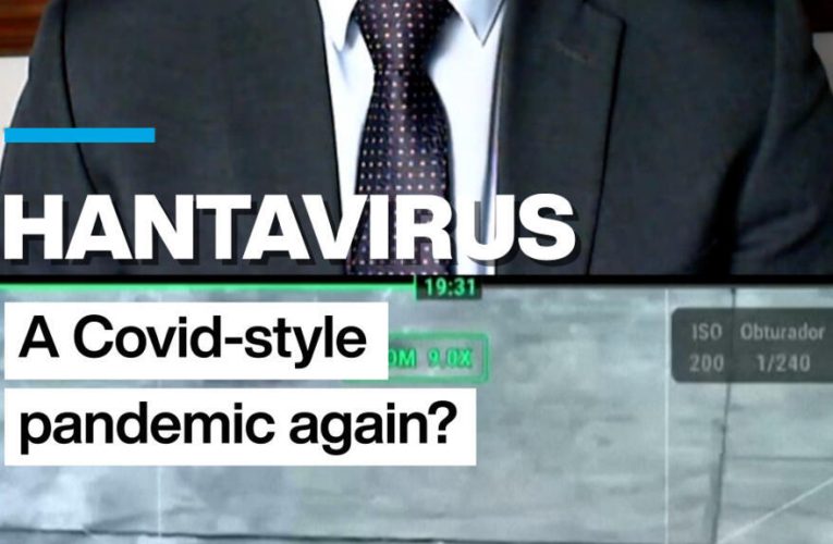 Hantavirus: Should we fear another global pandemic like Covid-19?
