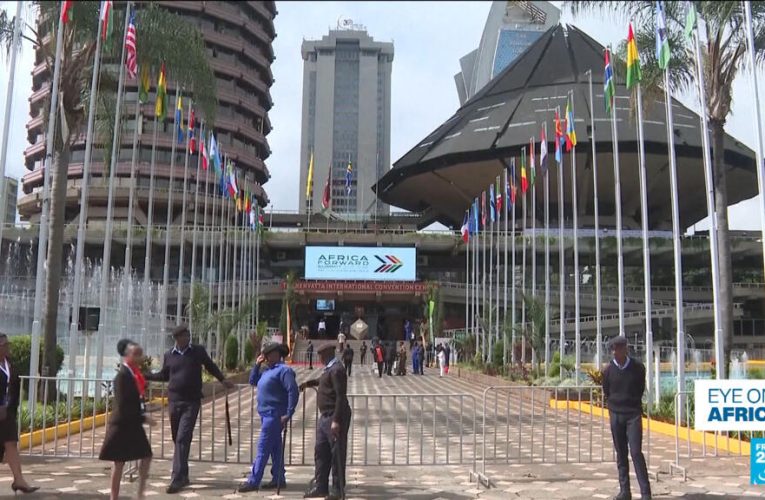 Deals and new partnerships at Africa-France summit