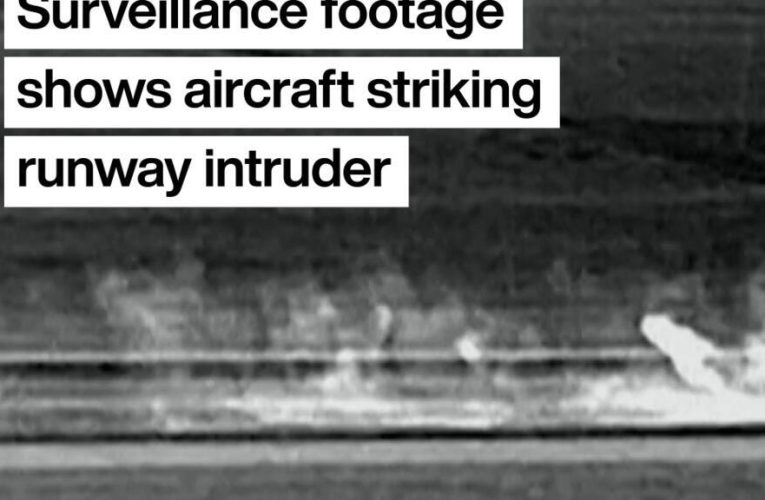 Denver airport: Surveillance footage shows moment aircraft fatally struck runway intruder