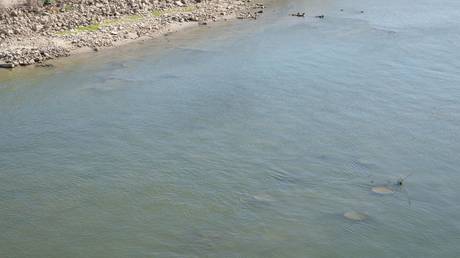 Sunken Nazi warships resurface in Europe amid record heatwave (PHOTOS)